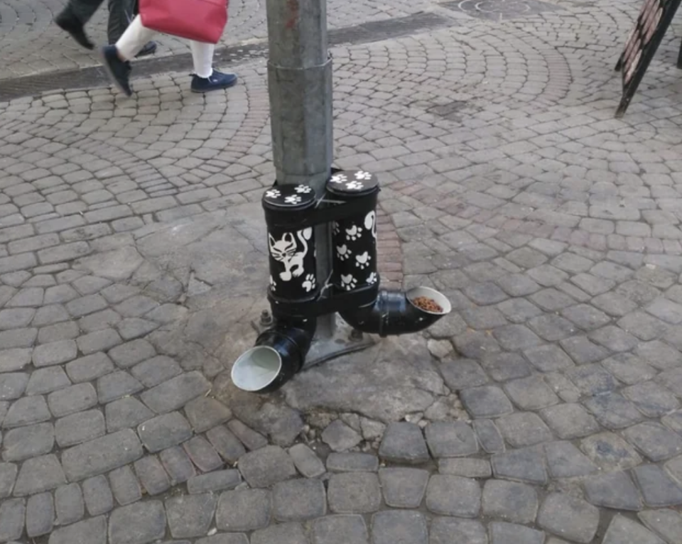 Cat food dispensers for stray cats