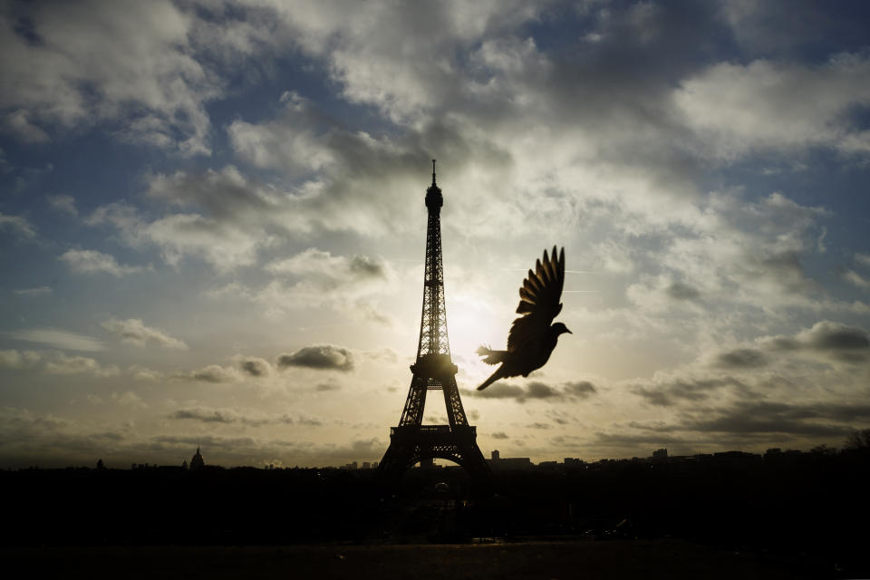 <p>A bird flies in front of the Eiffel Tower, which was closed on the first of three days of national mourning, Nov. 15, 2015. (Photo: Daniel Ochoa de Olza/AP) </p>