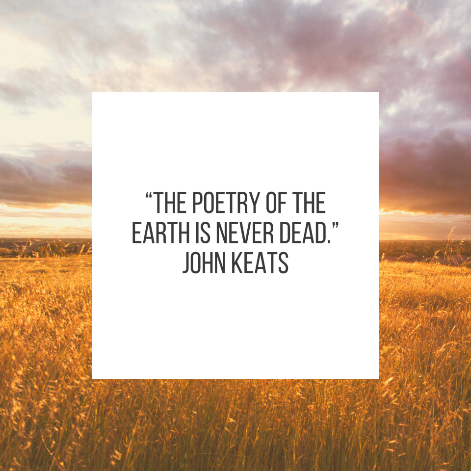“The poetry of the earth is never dead.” John Keats