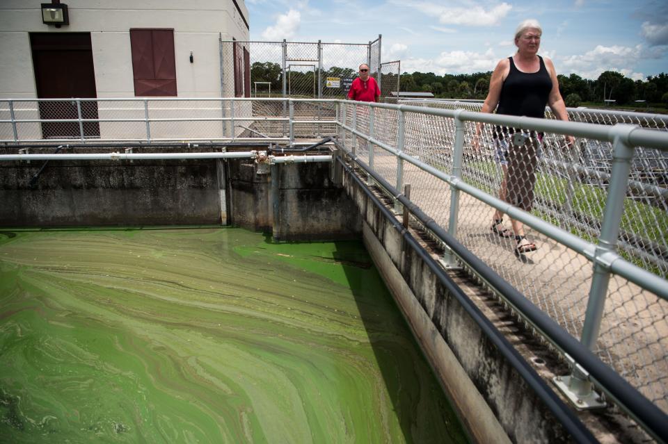 Marva Porten (right) and her husband, Pete Porten, of Port St. Lucie, walk across the St. Lucie Lock and Dam in Martin County on Friday, June 29, 2018, while discharges from Lake Okeechobee began to slow. "Well, we were exploring, and we knew that they were still releasing water out of Lake O, and I was curious to see how much flow was coming," Pete said, adding that he wanted to see how much green algae was coming. "You can actually see it here."