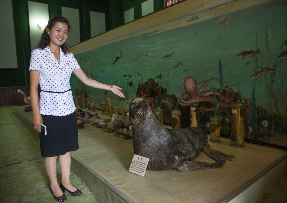 guide showing a stuffed seal offered by kim jong il in songdowon international children camp,