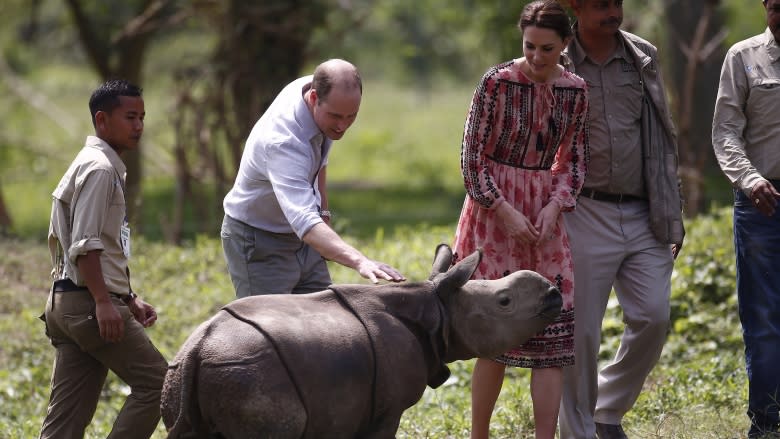 How green are the royals? Great Bear Rainforest will give William and Kate glimpse of 'stunning' natural world