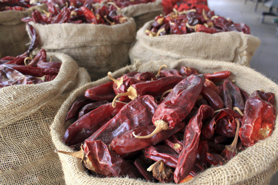 FILE - This March 20, 2013, file photo, shows sacks of dried red chile pods at the Hatch Chile Sales shop along the main street of the self-proclaimed "Chile Capital of the World," in Hatch, N.M. A hybrid version of a New Mexico chile plant has been selected to be grown in space as part of a NASA experiment, officials recently announced. (AP Photo/Susan Montoya Bryan, File)