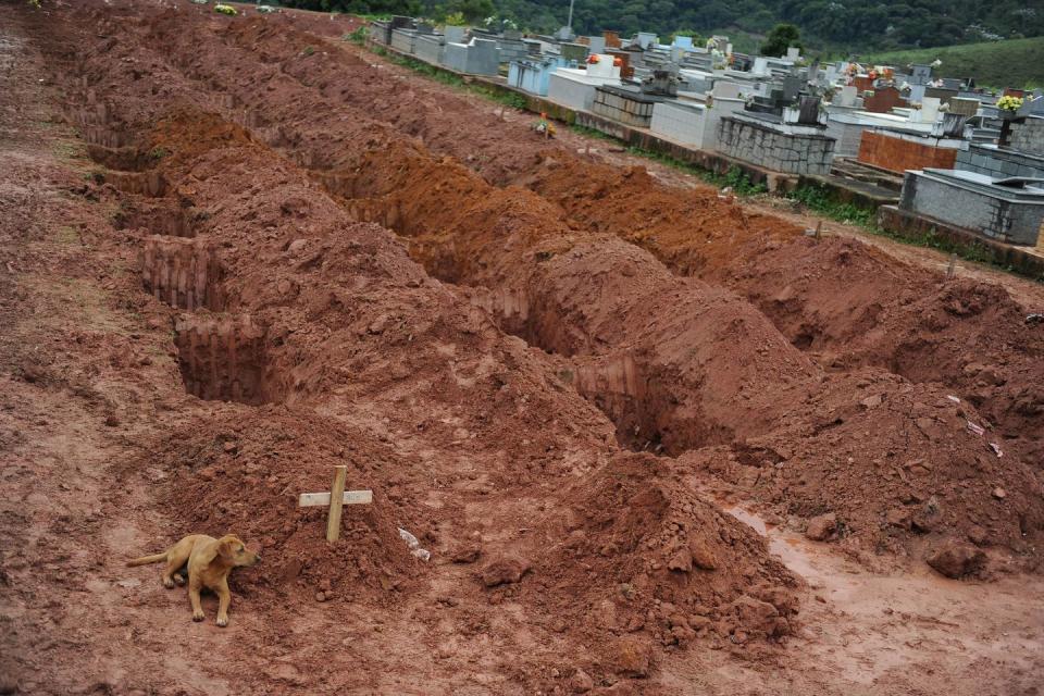 <p>A dog sits for the second consecutive day next to the grave of Cristina Maria Cesario Santana at a cemetery in Teresopolis, near Rio de Janeiro, on January 15, 2011. Cristina Maria died in the week's catastrophic landslides in Brazil, which claimed some 550 lives in the country's worst flood disaster on record. </p><p><strong>RELATED: <a href="https://www.redbookmag.com/life/pets/a49379/boy-meets-dog-with-same-skin-condition/" rel="nofollow noopener" target="_blank" data-ylk="slk:A Boy Befriended a Dog With the Same Rare Skin Condition As Him;elm:context_link;itc:0;sec:content-canvas" class="link ">A Boy Befriended a Dog With the Same Rare Skin Condition As Him</a></strong></p>