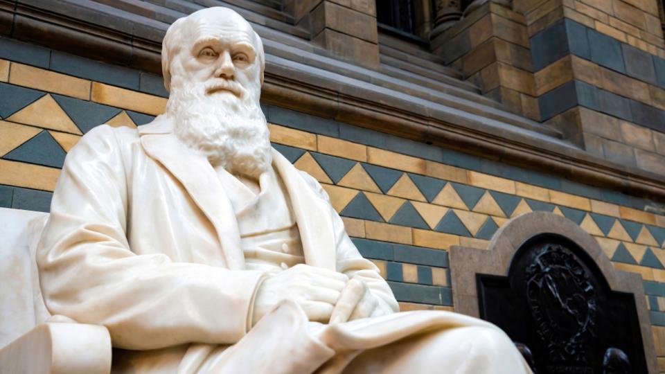 A statue of Charles Darwin sat on a chair