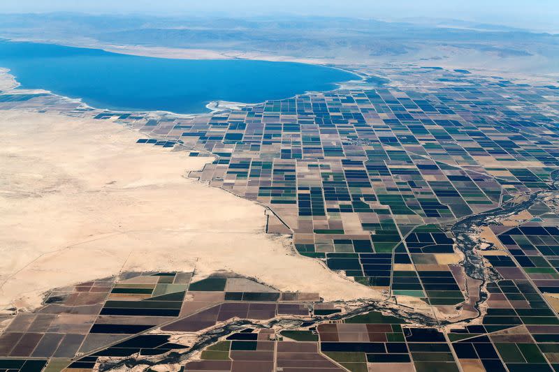 FILE PHOTO: Agricultural farm land is shown near the Salton Sea and the town of Calipatria in California