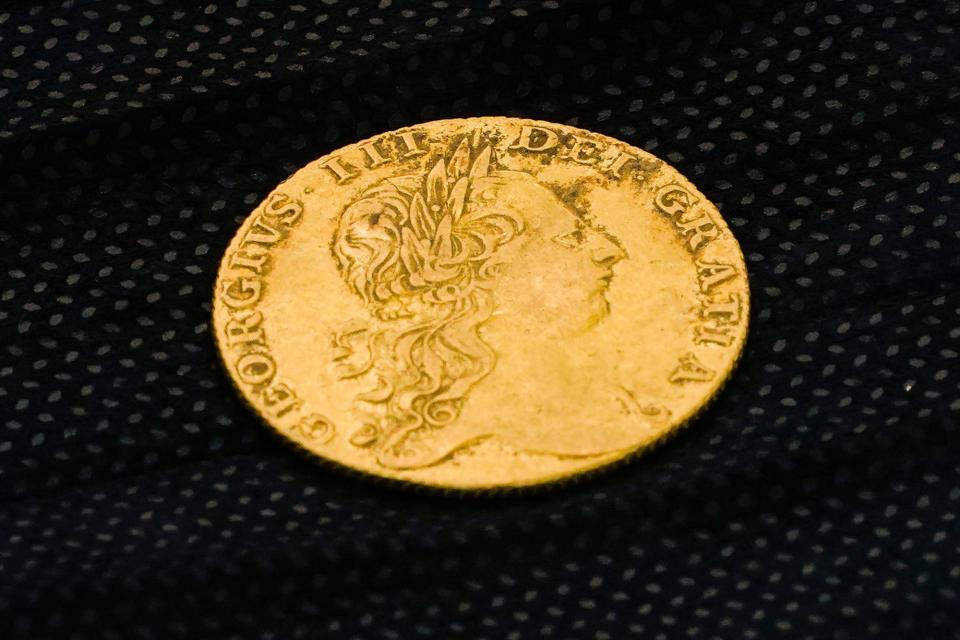 A King George III gold guinea was discovered at the site in National Park, N.J.