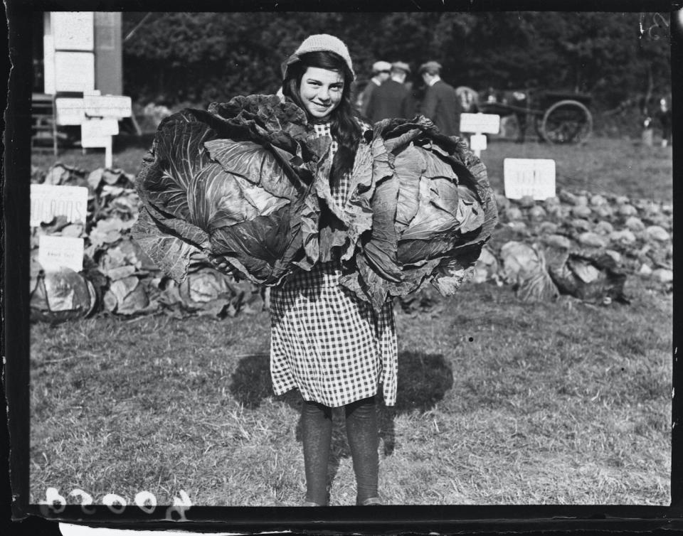 <h1 class="title">Girl with Cabbages</h1><cite class="credit">Photo by Hulton-Deutsch Collection/Corbis via Getty Images</cite>