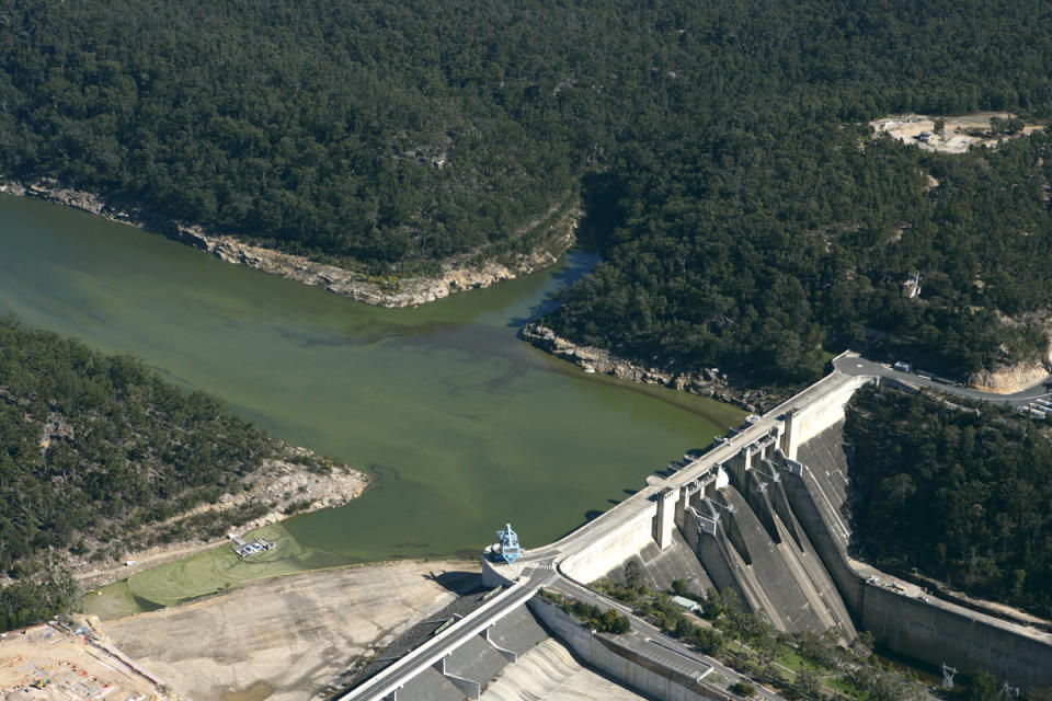 Pictured is blue-green algae algal bloom in Warragamba Dam in 2007. 