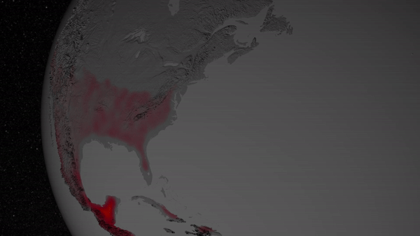  A gif of a black and white Earth visualization shows parts of North America "glowing". 