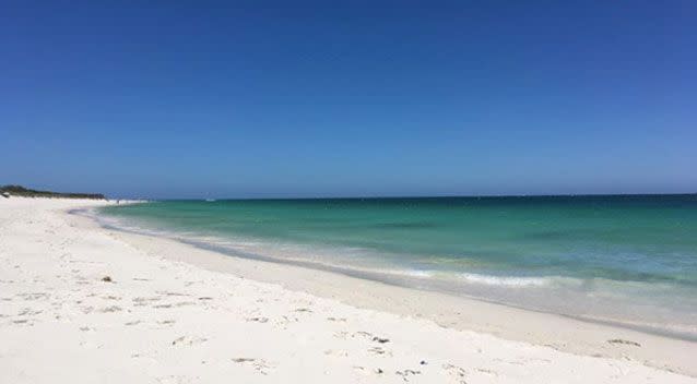 The two sea hares were discovered at Perth's Whitfords Beach. WA beaches are prone to appearances from black sea hares between January and April. Source: Instagram/ anne.travel.and.beaches