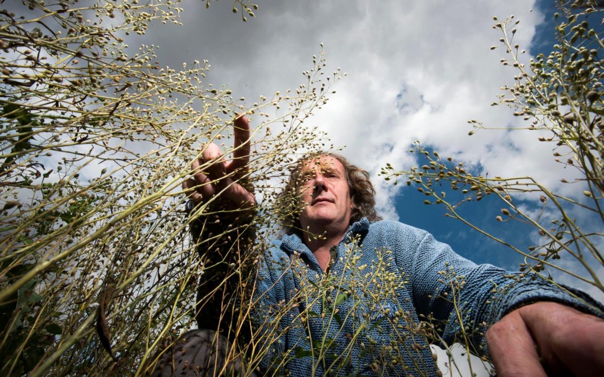 Professor Jonathan Napier is masterminding the new gene-edited plant project - Paul Grover