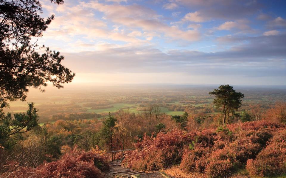 Leith Hill - getty