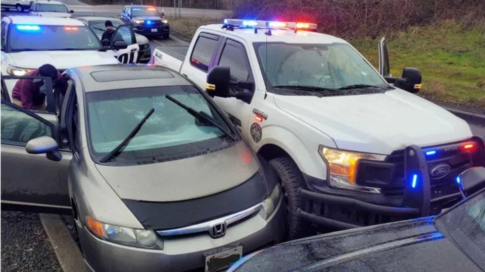 Police Chase Comes With A Husky Surprise