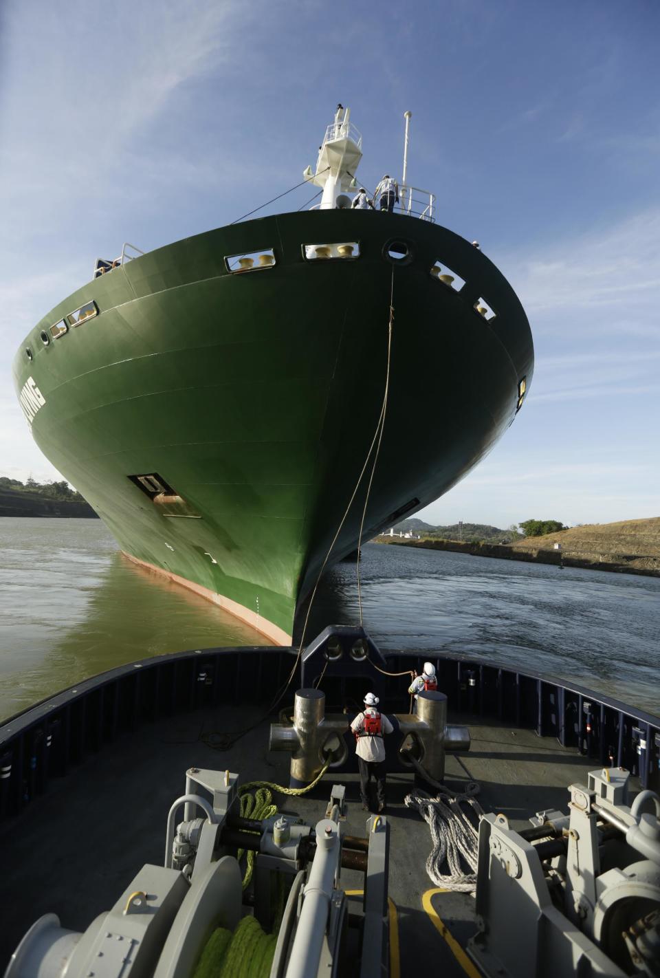 En esta imagen del 18 de enero de 2017, trabajadores del Canal de Panamá amarran un remolcador al Ever Living, un carguero de Neo-Panamax, para guiarlo por las esclusas del Cocolí que forman parte de la ampliación del Canal de Panamá, en Cocolí, Panamá. Cuando el barco cruzó el canal, la última de las grandes esclusas de acero no se abrió por completo. (AP Foto/Arnulfo Franco)