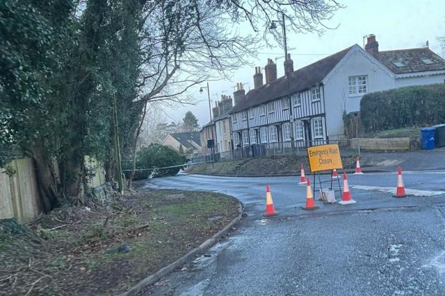 Busy road closed after huge tree falls down