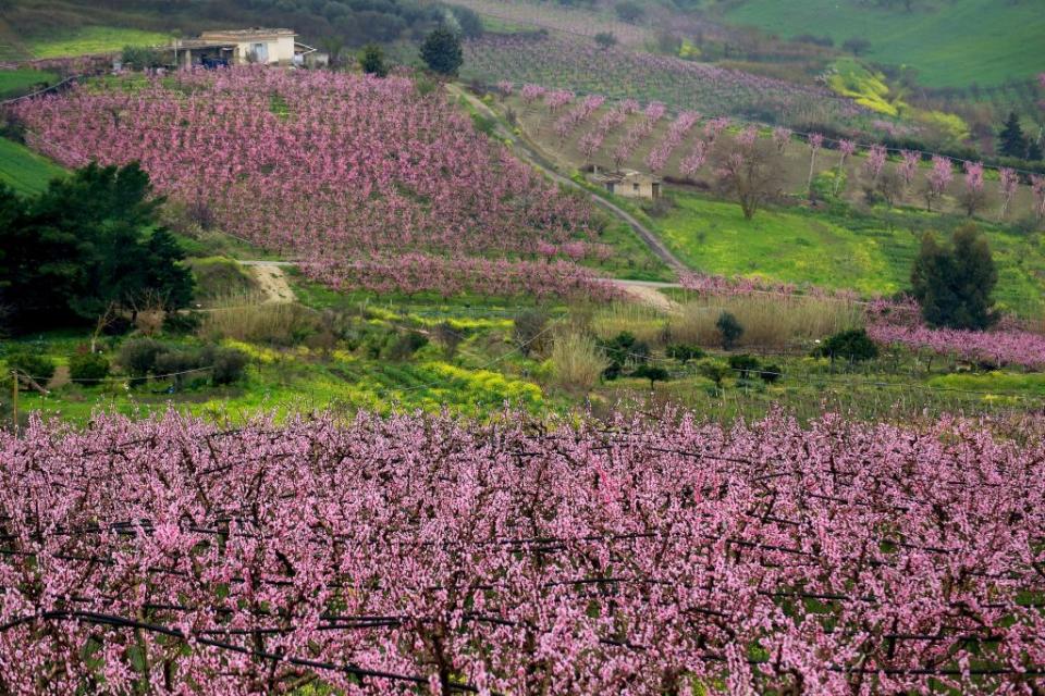 Bivona, Italy. Source: Getty