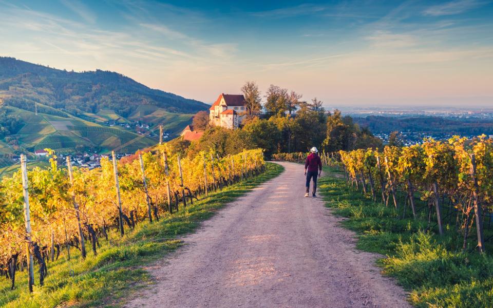 Durbach in the Freiburg region of Germany's Black Forest - getty