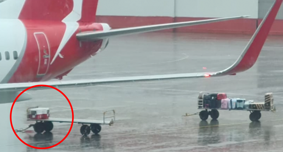 A pet in a crate on a trolley and another trolley of luggage is seen here beside a Qantas plane at Sydney Airport, during intense storms. 