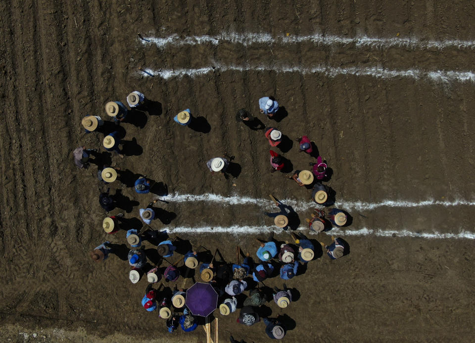 Agronomist Gerardo Noriega, center, gives final instructions to a group of technicians and researchers on sowing native corn seeds, at a farm in Apizaco, Mexico, Thursday, May 18, 2023. Noriega, of Chapingo Autonomous University, uses the field as a large, open-air laboratory to study the benefits of native versus hybrid – crossbred — corn varieties. (AP Photo/Fernando Llano)