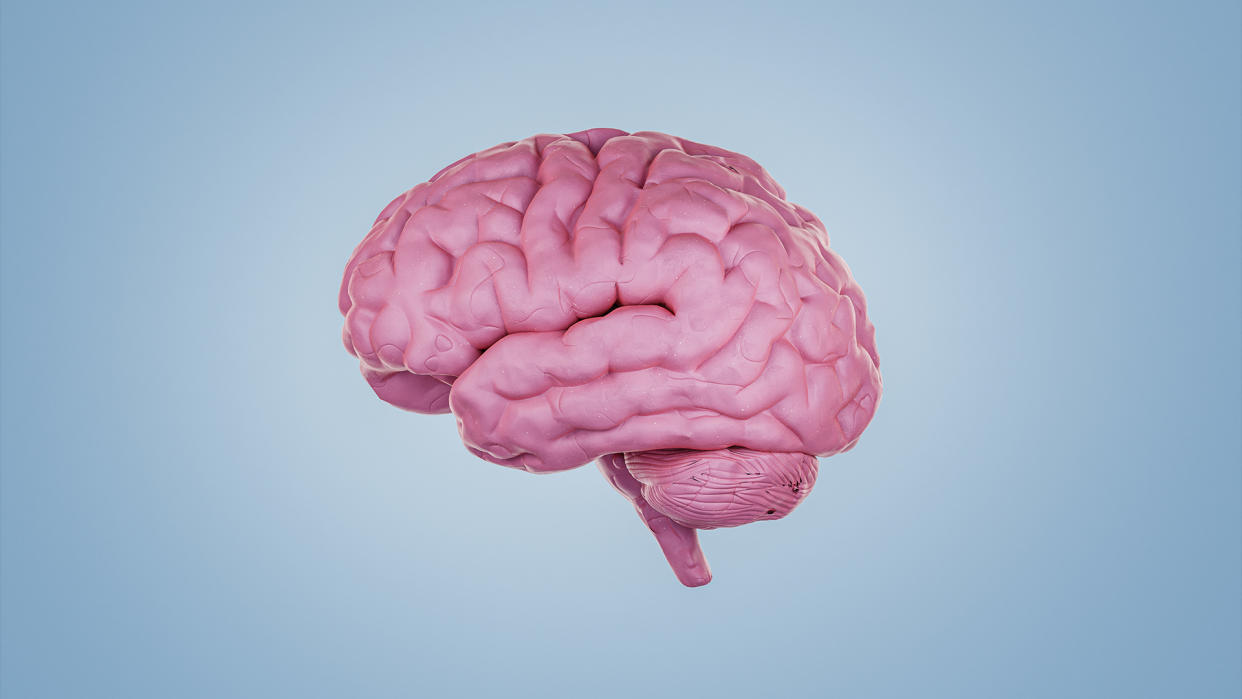  A digital illustration of the human brain, depicted in pink on a light blue background. 