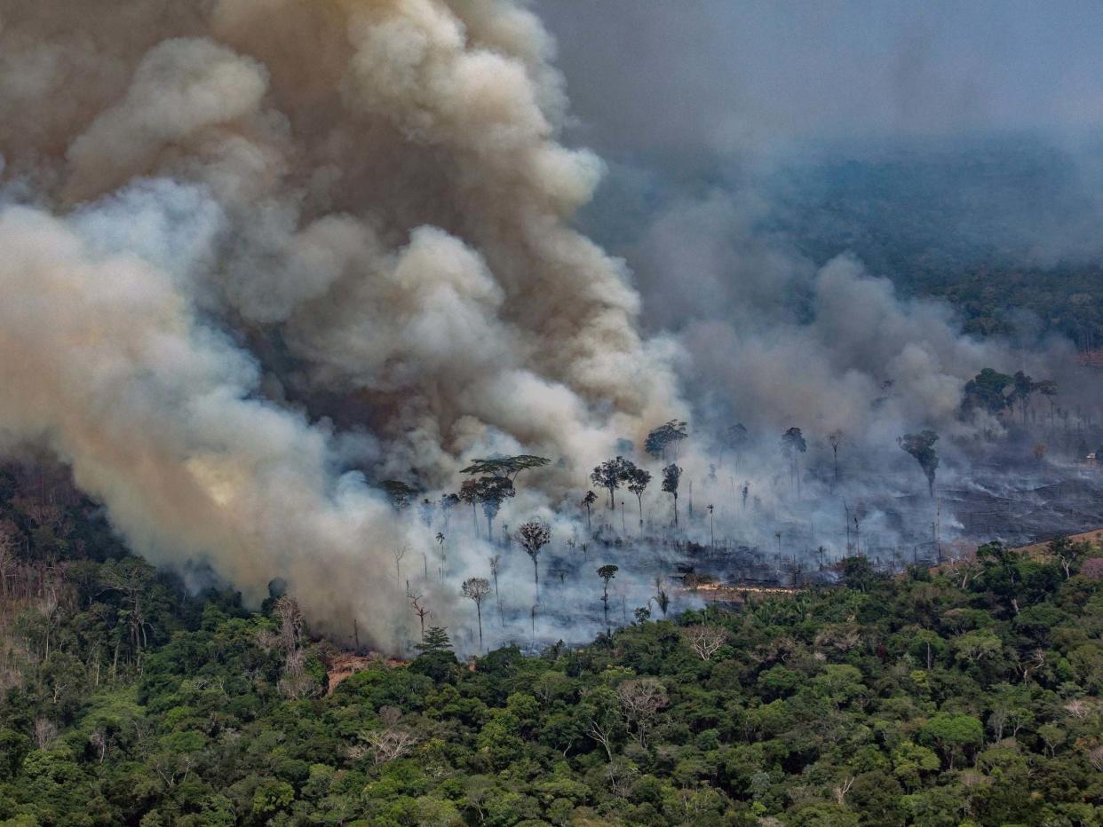 Smoke billows from fires in the Amazon basin: AFP/Getty Images