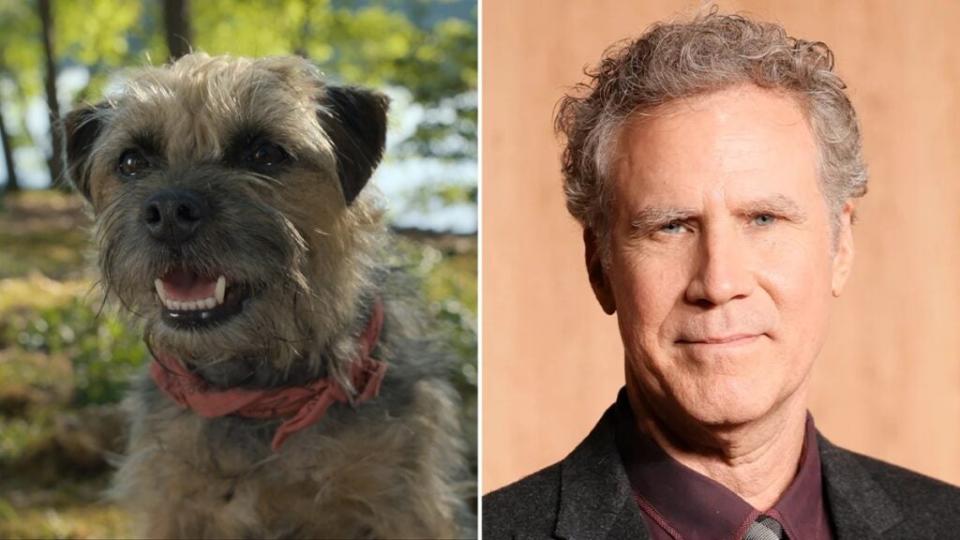 Reggie (Will Ferrell), a loyal pet, in “Strays”