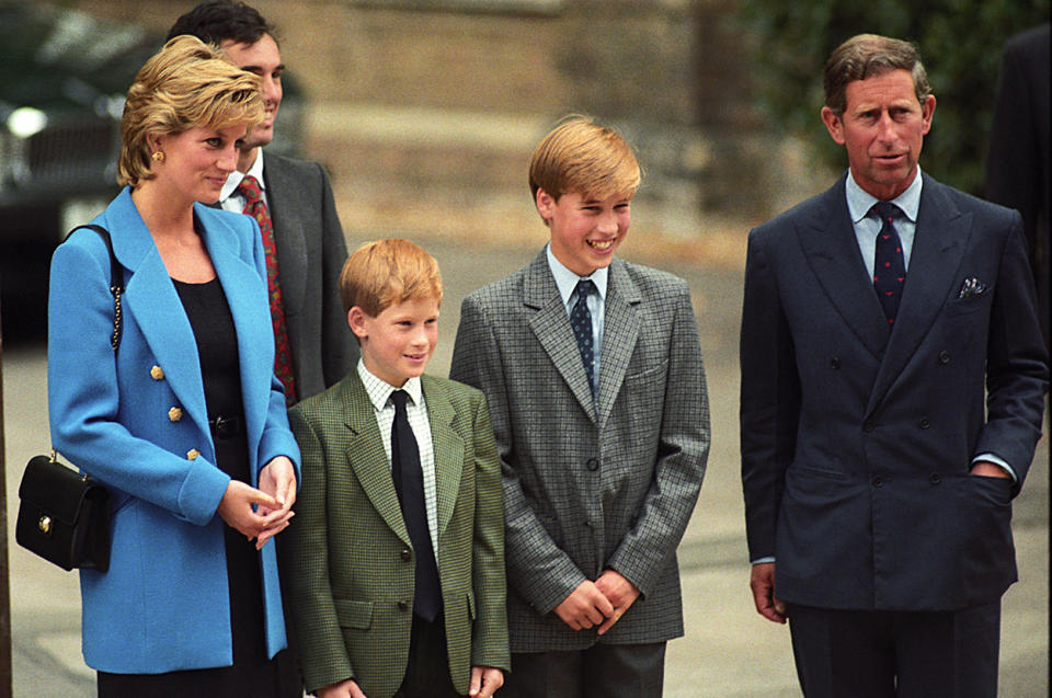 Princess Diana, Prince Harry, Prince William and Prince Charles