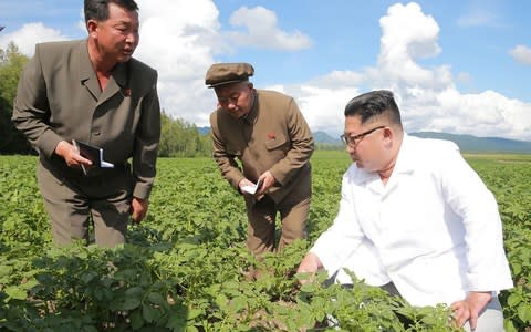 North Korean leader Kim Jong-un inspects a farm in Samjiyon County - Credit: AFP