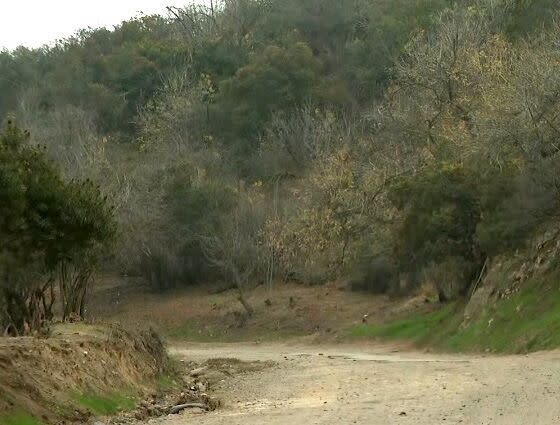Police are searching for a man who sexually assaulted a woman while she was hiking along the Upper Canyonback Trail in the 17000 block of Mulholland Drive on Nov. 21 around noon, in Encino, authorities announced.