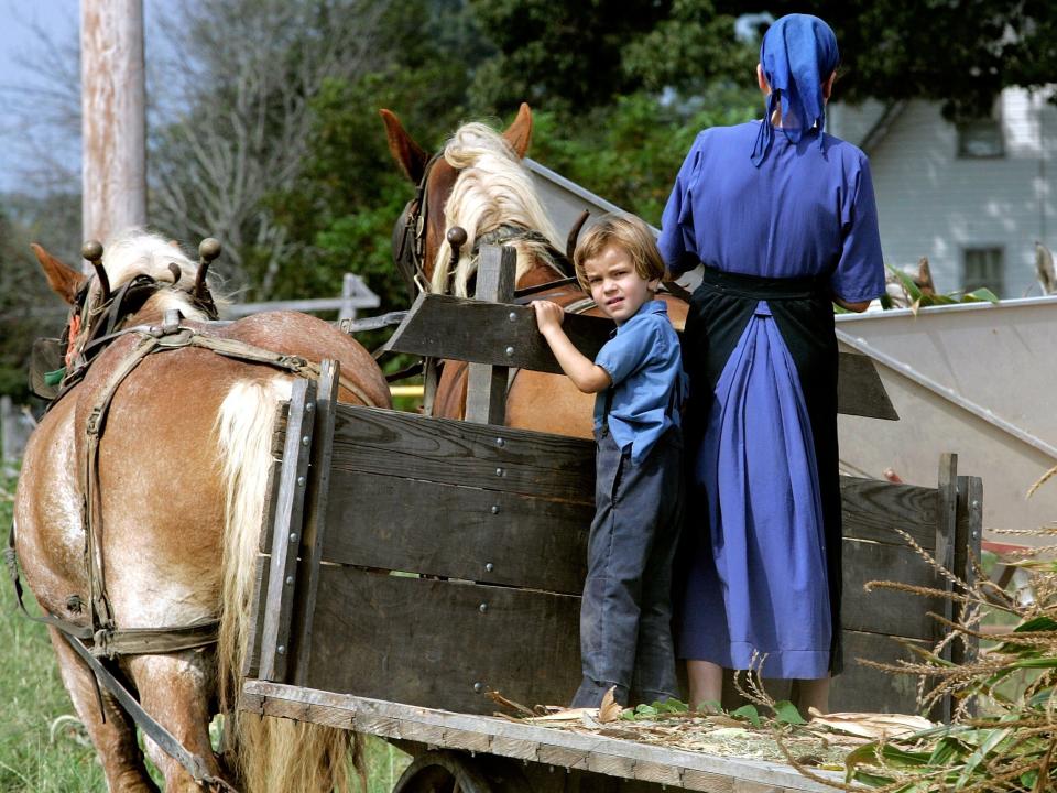 An Amish child and woman stand on horse-drawn wagon while harvesting corn in Maryland