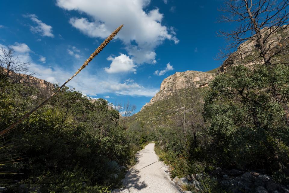 McKittrick Canyon is one of the Guadalupe Mountains National Park's main attractions. The National Park celebrates its 50th anniversary on September 30, 2022.