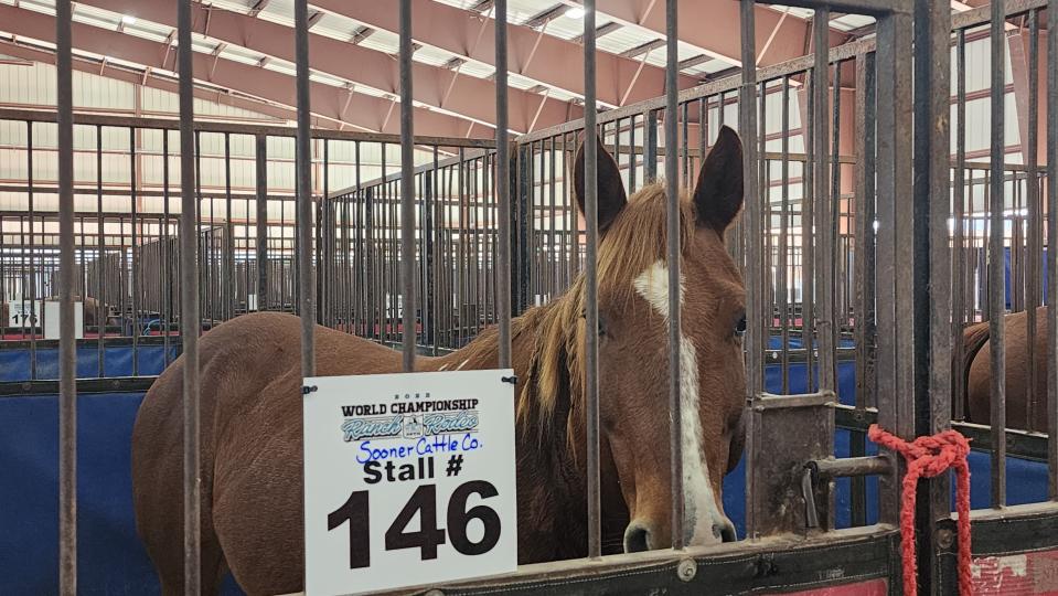 A horse enjoys its space at the Pavilion at the Santa Fe Depot near the Amarillo Civic Center prior to the WRCA Rodeo which has events through Sunday.