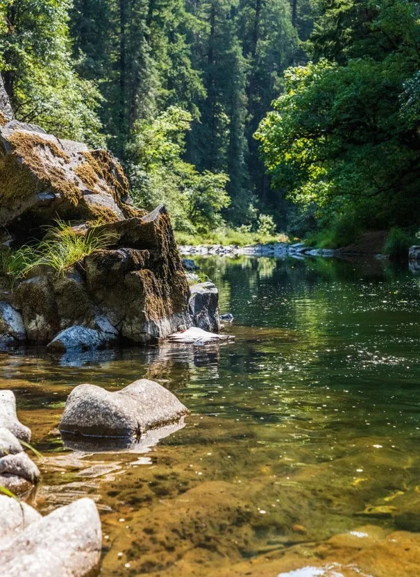 沈文程到溪邊釣魚時不慎落水，手指骨折。（示意圖，與當事人無關／Unsplash）