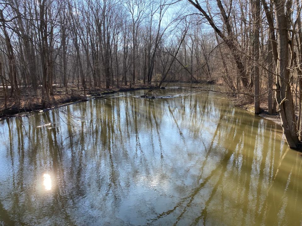 The River Raisin is pictured Dec. 20 at Sutton Road in Raisin Township.