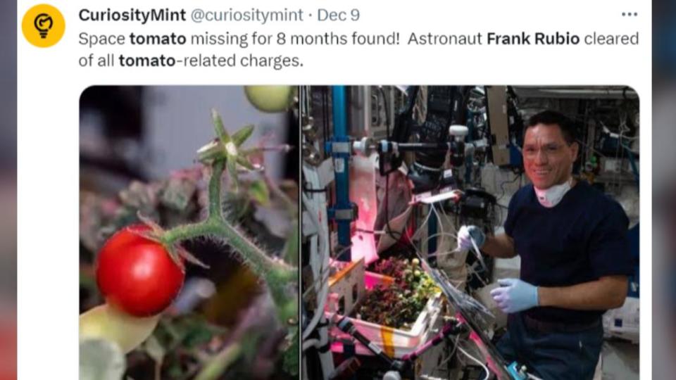小番茄的失蹤，導致太空人深陷偷吃疑雲。（圖／翻攝自X）