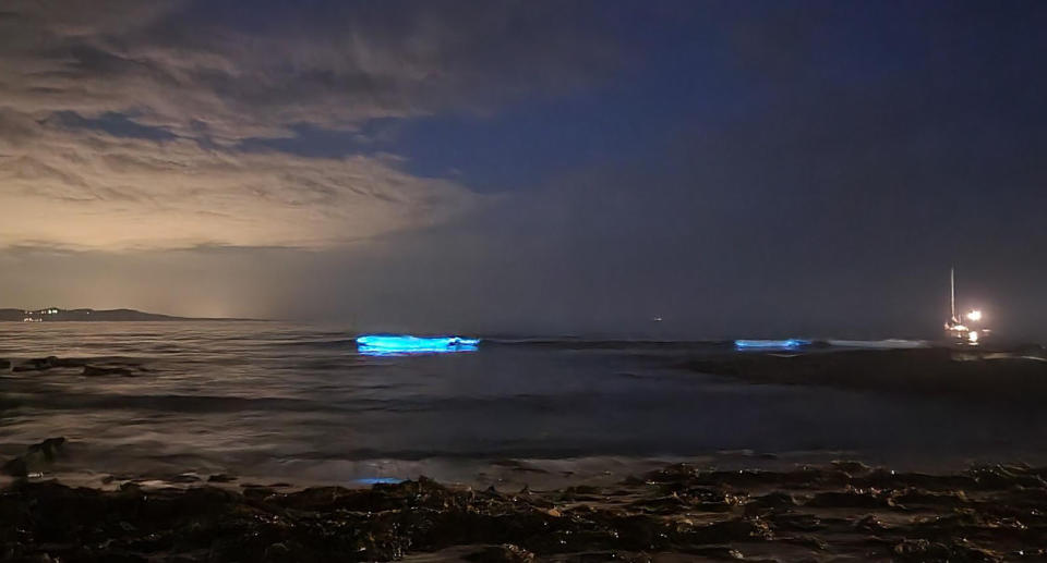 A rare bioluminescent phenomenon on the NSW coast. Source: Wayne Cooke