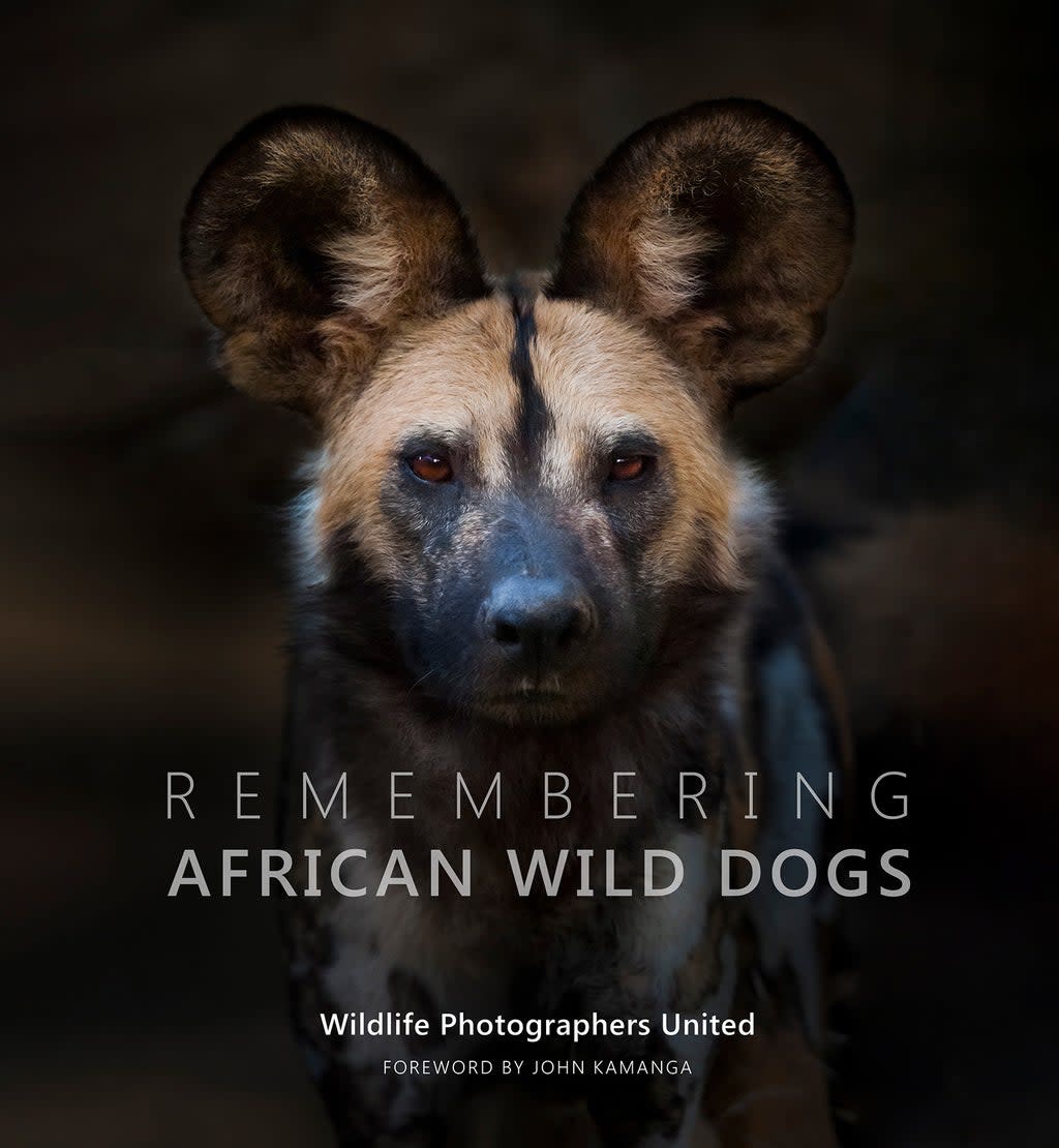 Remembering African Wild Dogs (PA) (African Wild Dogs)