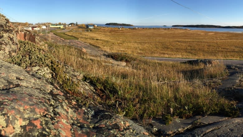 Will UNESCO mission lay groundwork to protect Wood Buffalo National Park?