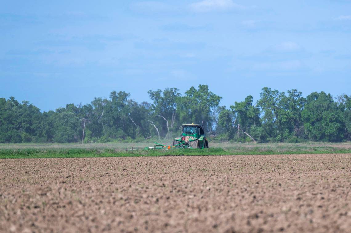 A tractor turns over soil on Tuesday on the more than 700 acres of farmland at the confluence of the Sacramento and Feather rivers near Knights Landing that River Partners, a nonprofit environmental restoration group, plans to restore to wildlife habitat with help from Apple Inc.