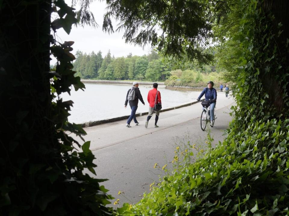 How the Vancouver Park Board's co-management plan will work remains to be seen Whatever is decided, Its chair says municipal parks remain under the ownership of the City of Vancouver and all legislative responsibility will remain with the park board. (David Horemans/CBC - image credit)