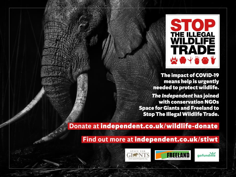 We are working with conservation charity Space for Giants to protect wildlife at risk from poachers due to the conservation funding crisis caused by Covid-19. Help is desperately needed to support wildlife rangers, local communities and law enforcement personnel to prevent wildlife crime. Donate to help Stop the Illegal Wildlife Trade here.The Independent