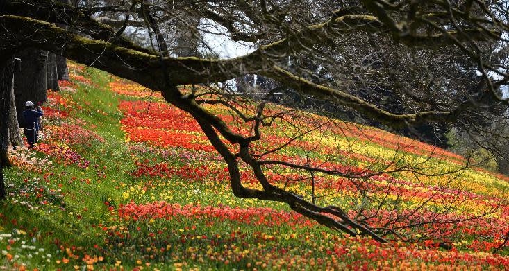 Die besten Bilder des Tages vom 15. April