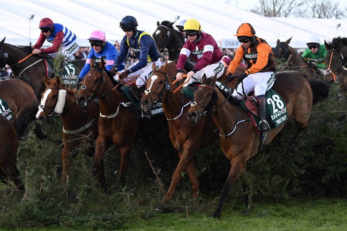 This year at Aintree, more than 100 horses are expected to compete (Paul Ellis/AFP via Getty Images)