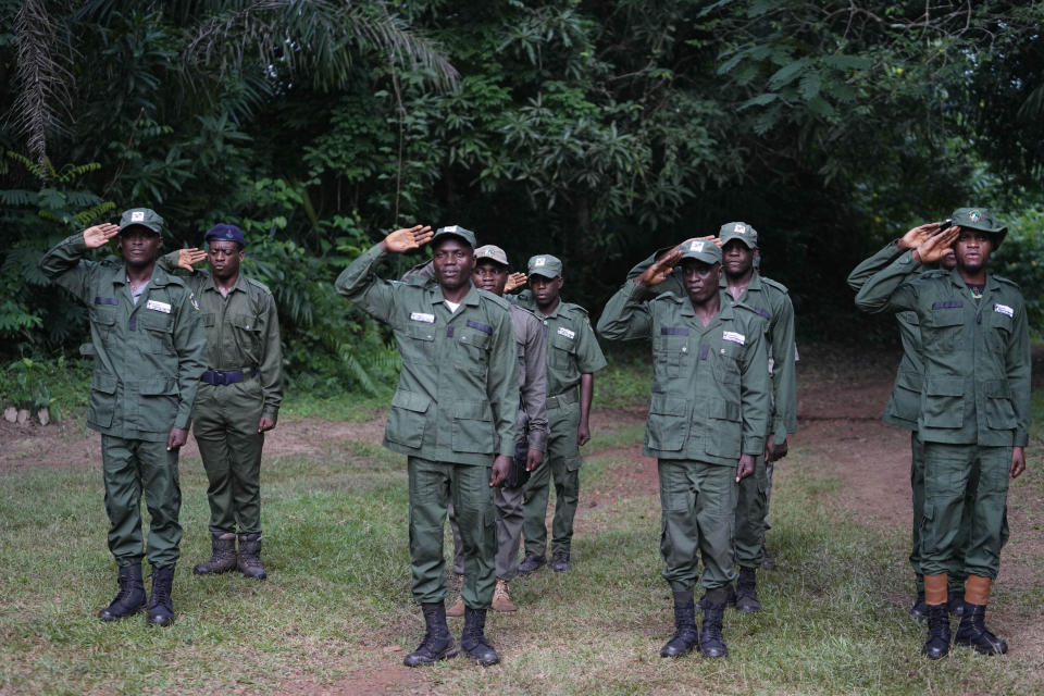 Forest rangers, some of them former poachers, salute during a parade in the Omo Forest Reserve in Nigeria on Monday, July. 31, 2023. Omo Forest Reserve, a tropical rainforest in Nigeria's southwest, faces threats from excessive logging, uncontrolled farming and poaching. (AP Photo/Sunday Alamba)