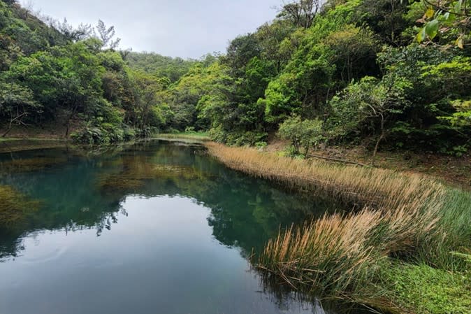 圖上：臺北市北投區國有土地認養案件；下：新北市汐止區國有土地認養案件；兩案由臺北市最美河川文化推廣協會認養。（圖片來源／財政部國產署提供）