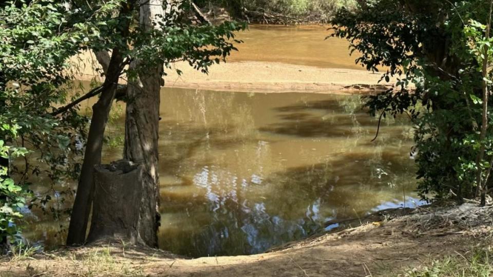 Lakefield crocodile attack