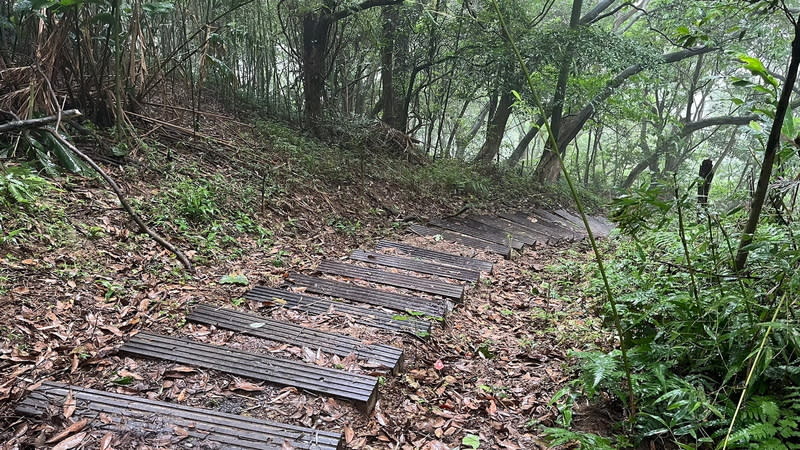 新北修繕山林步道  更新木作階梯 新北市觀旅局18日表示，分段修繕山林縱走步道，5 月底完工。除更新木作階梯（圖）、碎石木屑鋪面， 設透視欄杆。 （新北觀旅局提供） 中央社記者黃旭昇新北傳真  113年6月18日 