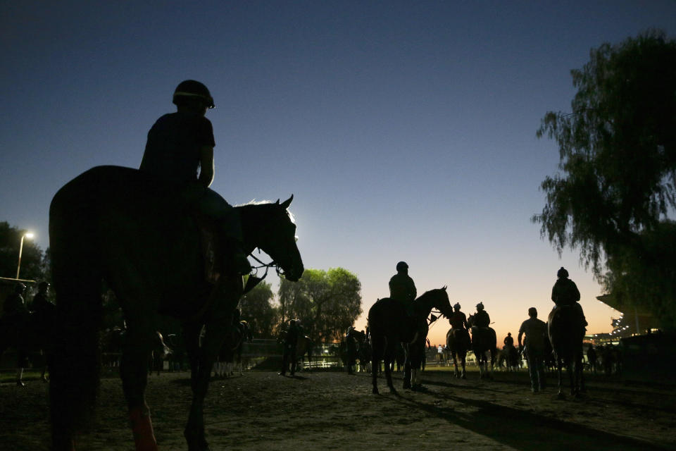 FILE - In this Oct. 29, 2014, file photo, riders and horses walk toward the track for a morning workout ahead of the Breeders' Cup races at Santa Anita Park in Arcadia, Calif. A report released Tuesday, March 10, 2020, by the California Horse Racing Board on a spate of horse deaths at Santa Anita found that no illegal medications were used on the animals and 39% percent of the 23 fatalities occurred on surfaces affected by wet weather. The long-awaited report focused on 23 deaths as a result of racing or training between Dec. 30, 2018, and March 31, 2019. The fatalities roiled the industry and led track owner The Stronach Group to institute several reforms involving safety and medication. (AP Photo/Jae C. Hong, File)