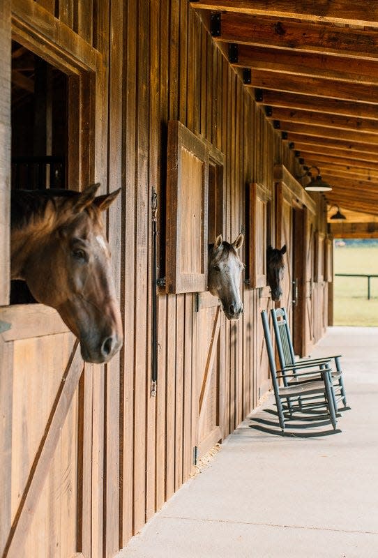 The Stables at Buck Lake is a new high-end equestrian facility in eastern Tallahassee.